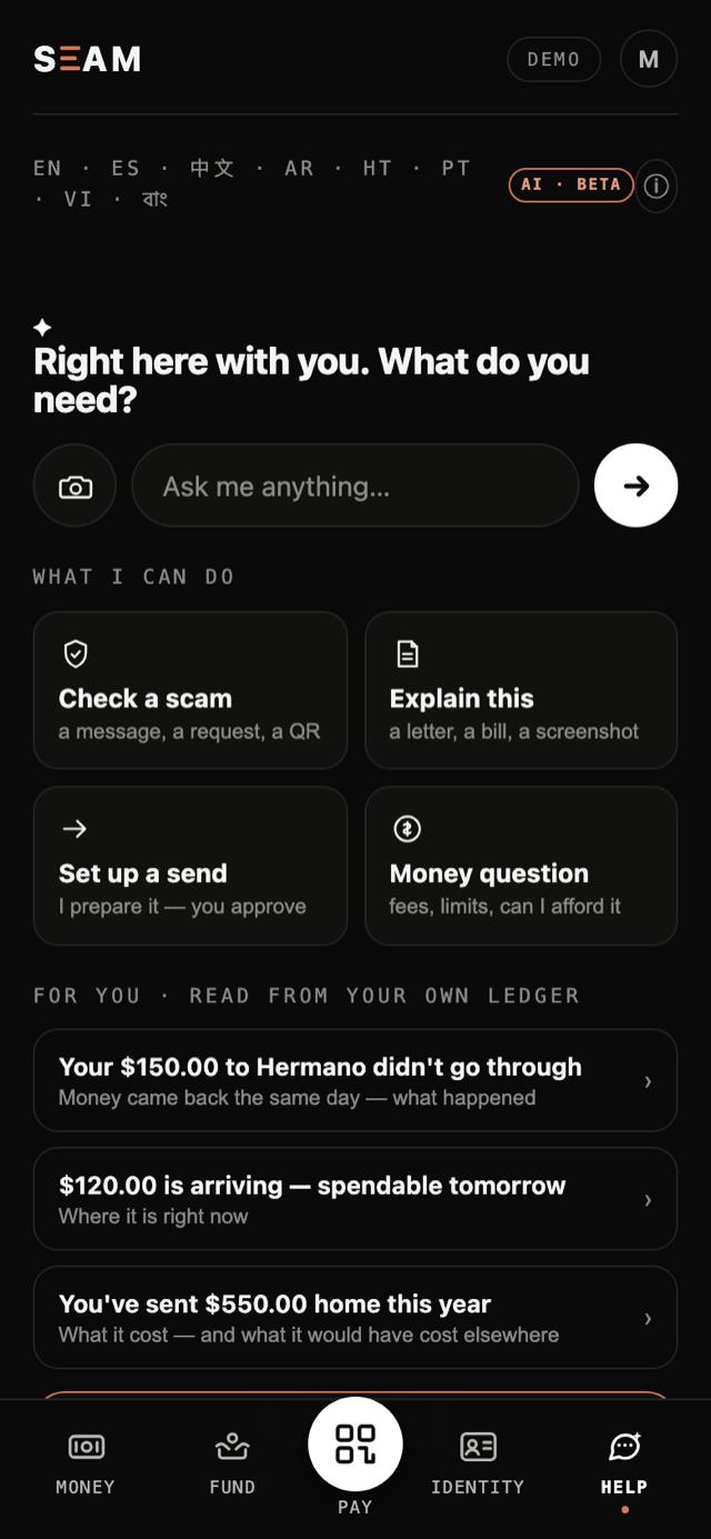 The demo wallet's Help screen: what the AI can do — check a scam, explain a letter, set up a send, answer a money question — and cards read from the wallet's own ledger.