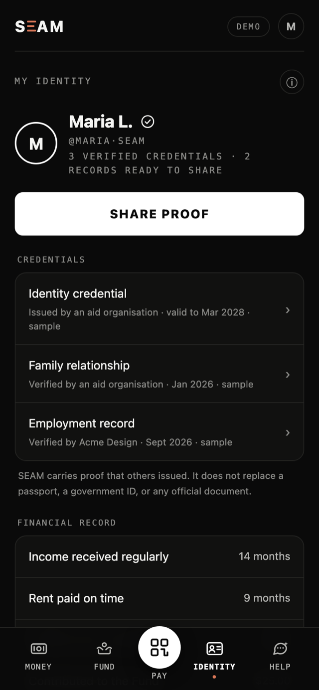 The demo wallet's Identity screen: three verified sample credentials — an identity credential, a family relationship and an employment record — each naming who issued it, above a financial record of income received and rent paid on time.